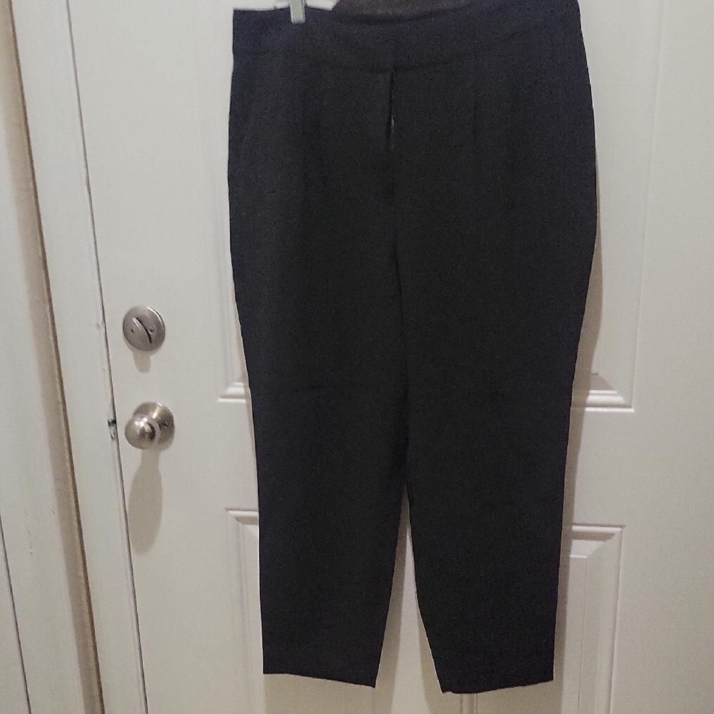 Express Size 12S Classic Black Women's Pants